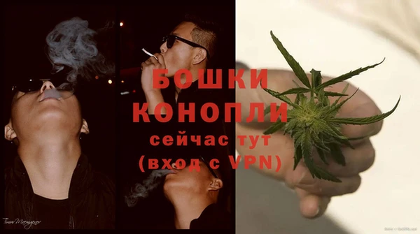 гашик Дмитриев