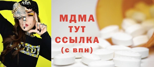 гашик Дмитриев