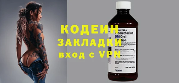 гашик Дмитриев