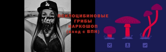 мескалин Дмитровск