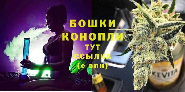 гашик Дмитриев